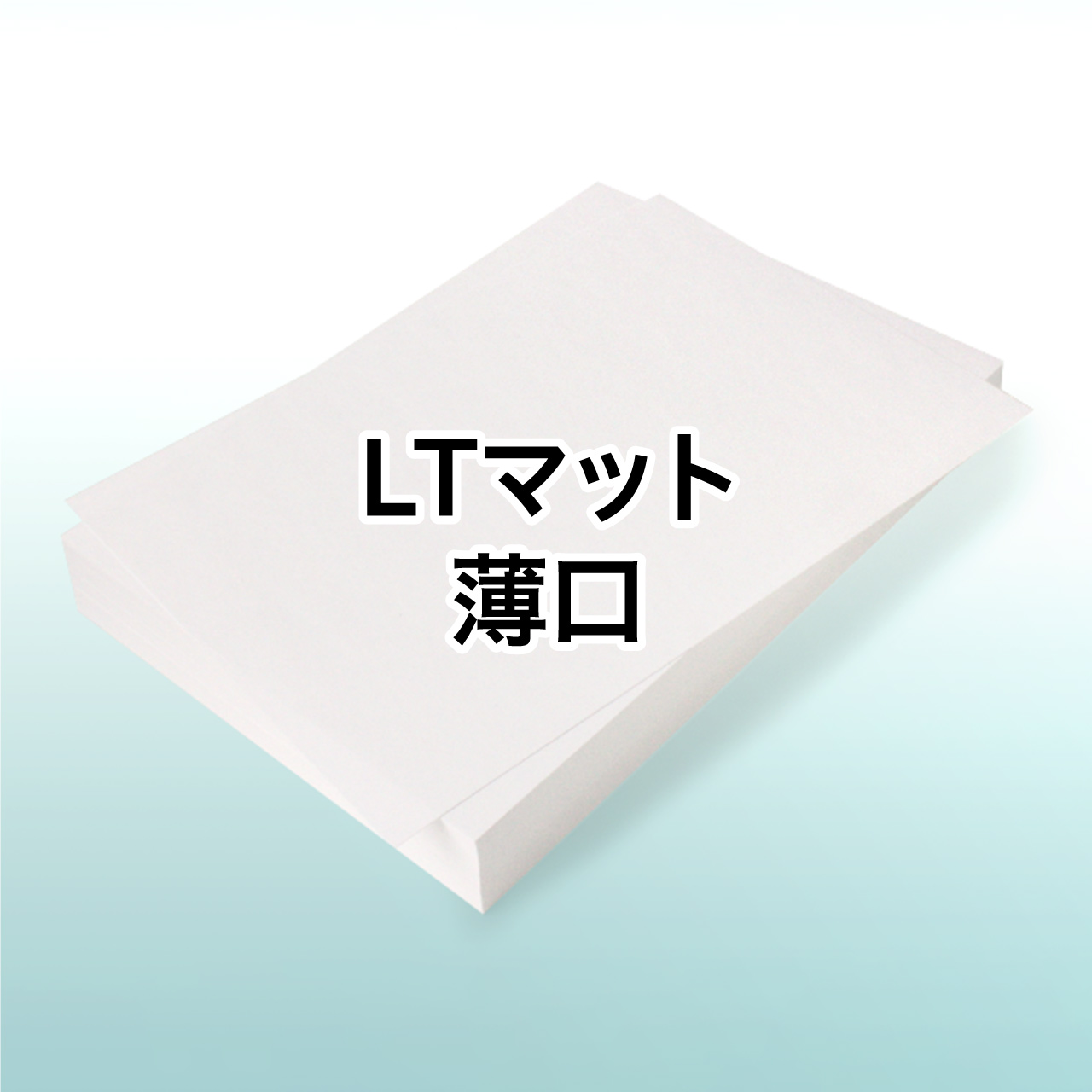 �C���N�W�F�b�g�v�����^�Ή� LT�}�b�g ����